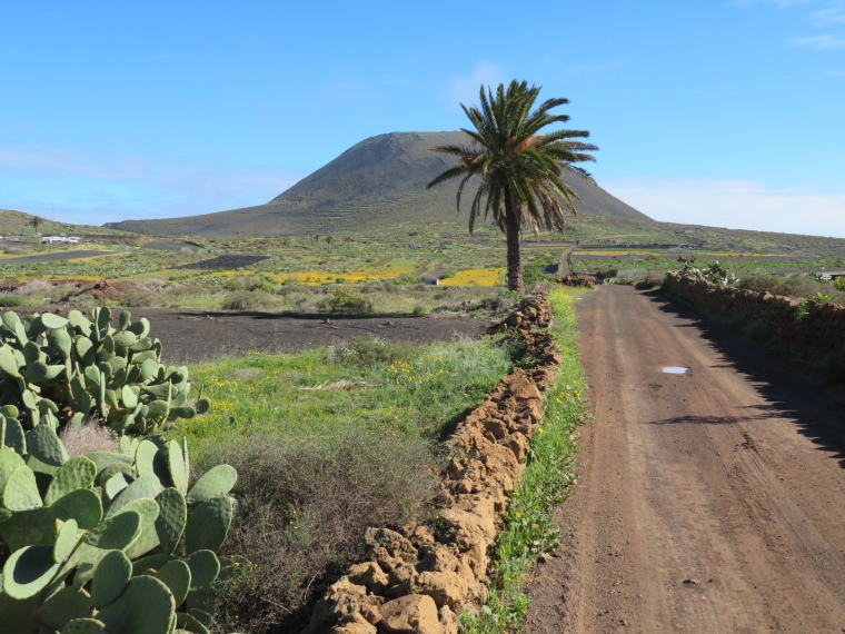 Maguez Area  
Track towards Corona - © William Mackesy