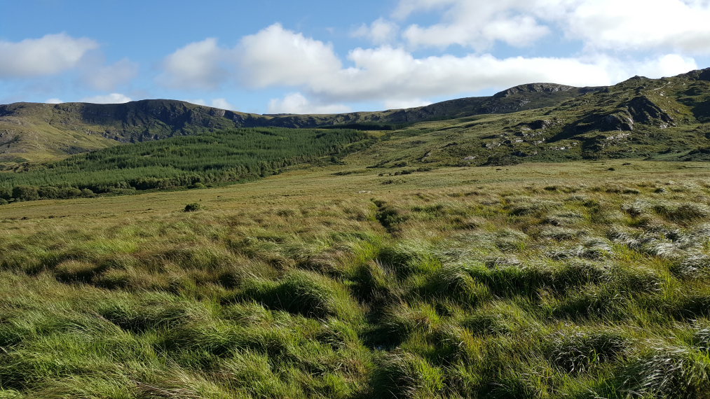 Beara Way 
Beara Way approaching Knocknagorraveela ridge, east-central Beara© William Mackesy