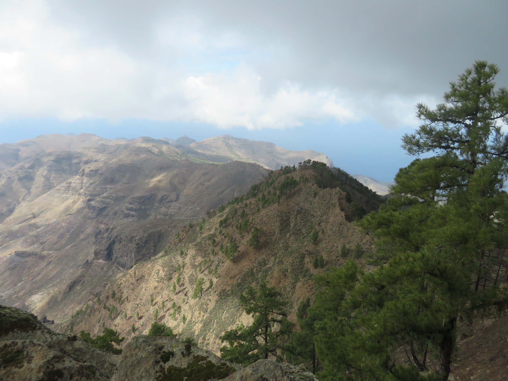 Gran Canaria 
From Altavista summit - © William Mackesy
