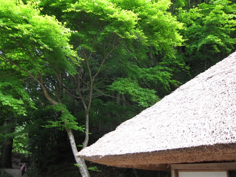 Japan Kansai: Kii Peninsula, Nakahechi Trail , Old teahouse roof, Walkopedia