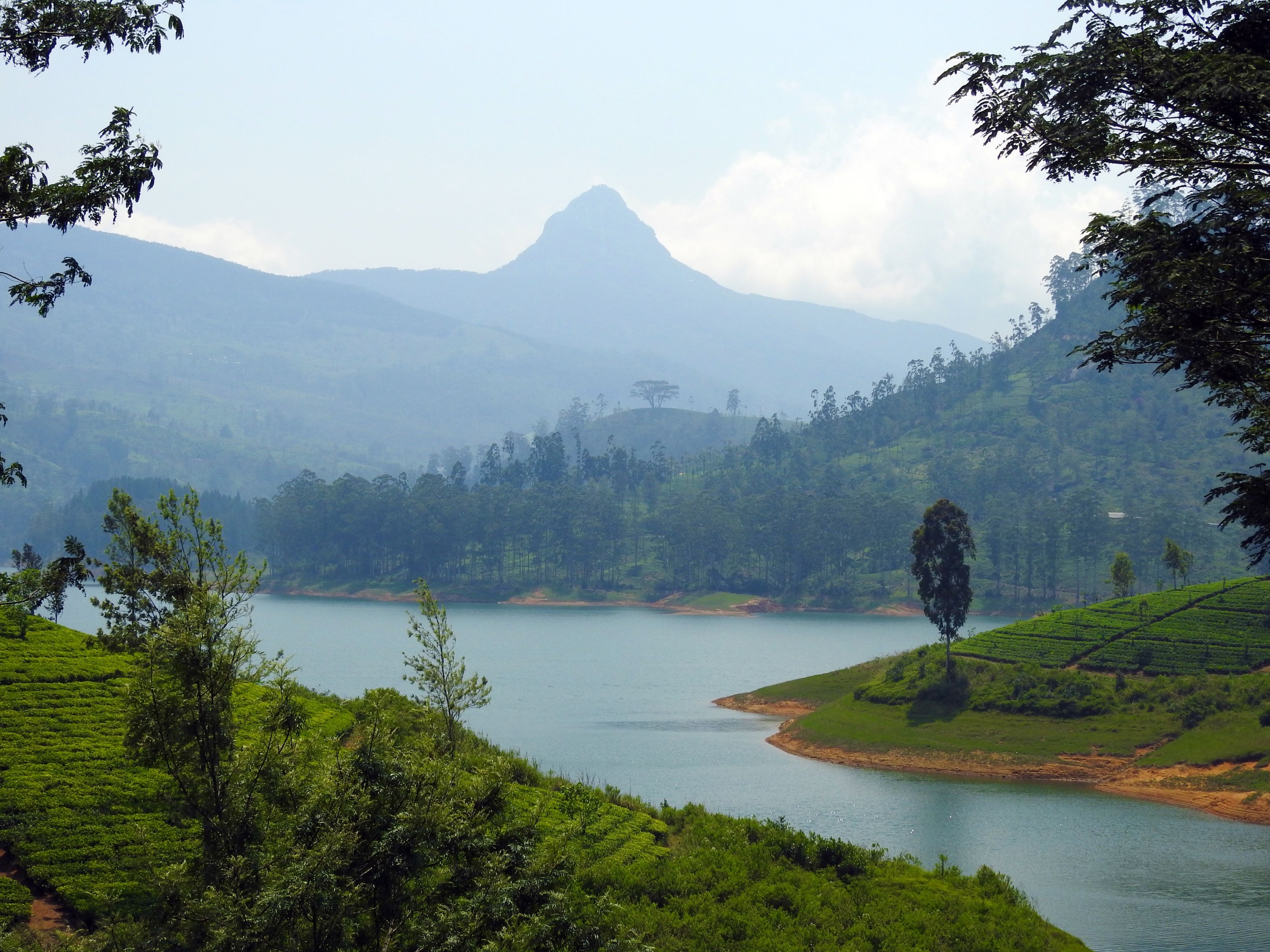 Adams Peak
Adams Peak from Makeliya - © Wikimedia User (Rehman Abubakr)