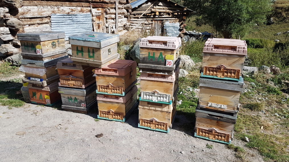 © Alex Duncan © Alex Duncan