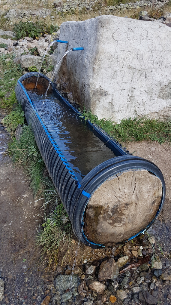 © Alex Duncan © Alex Duncan