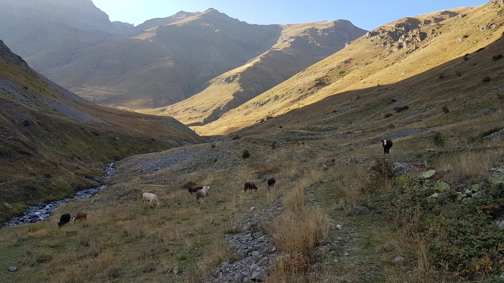 © Alex Duncan © Alex Duncan