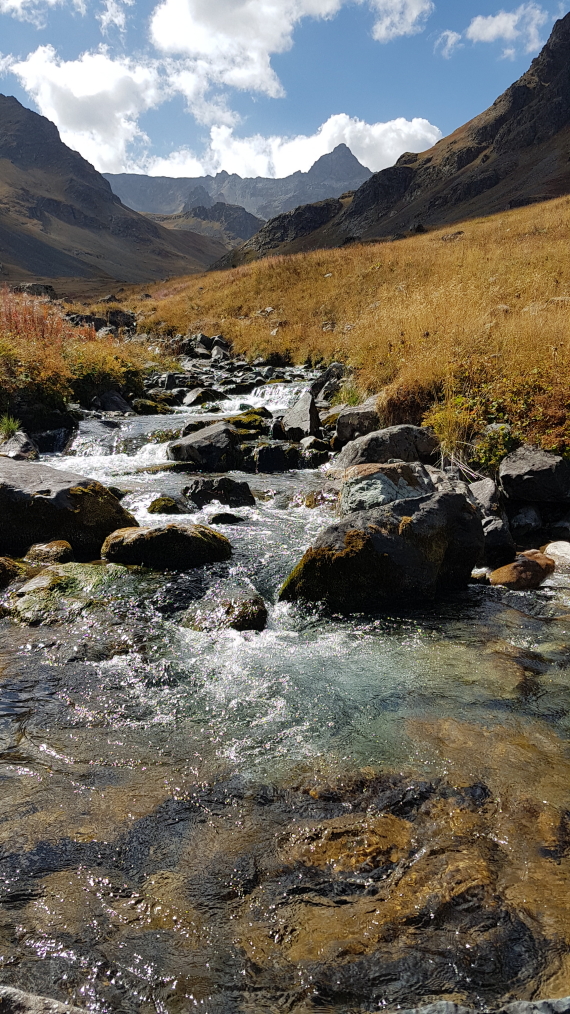 © Alex Duncan © Alex Duncan